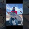 Monster Rod Holders demo video WbkzBOqnywg Talon 5/35 Catfish Rod Holder product photo for boats, kayaks, pontoons, drifting, dragging, and trolling setups