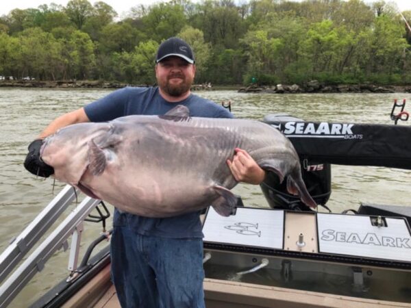 monster catfish