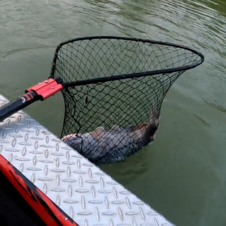 HD-150  HydroWeb Heavy Duty Catfish Landing Net - Image 8