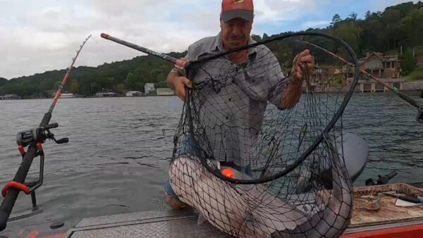 catfish landing net