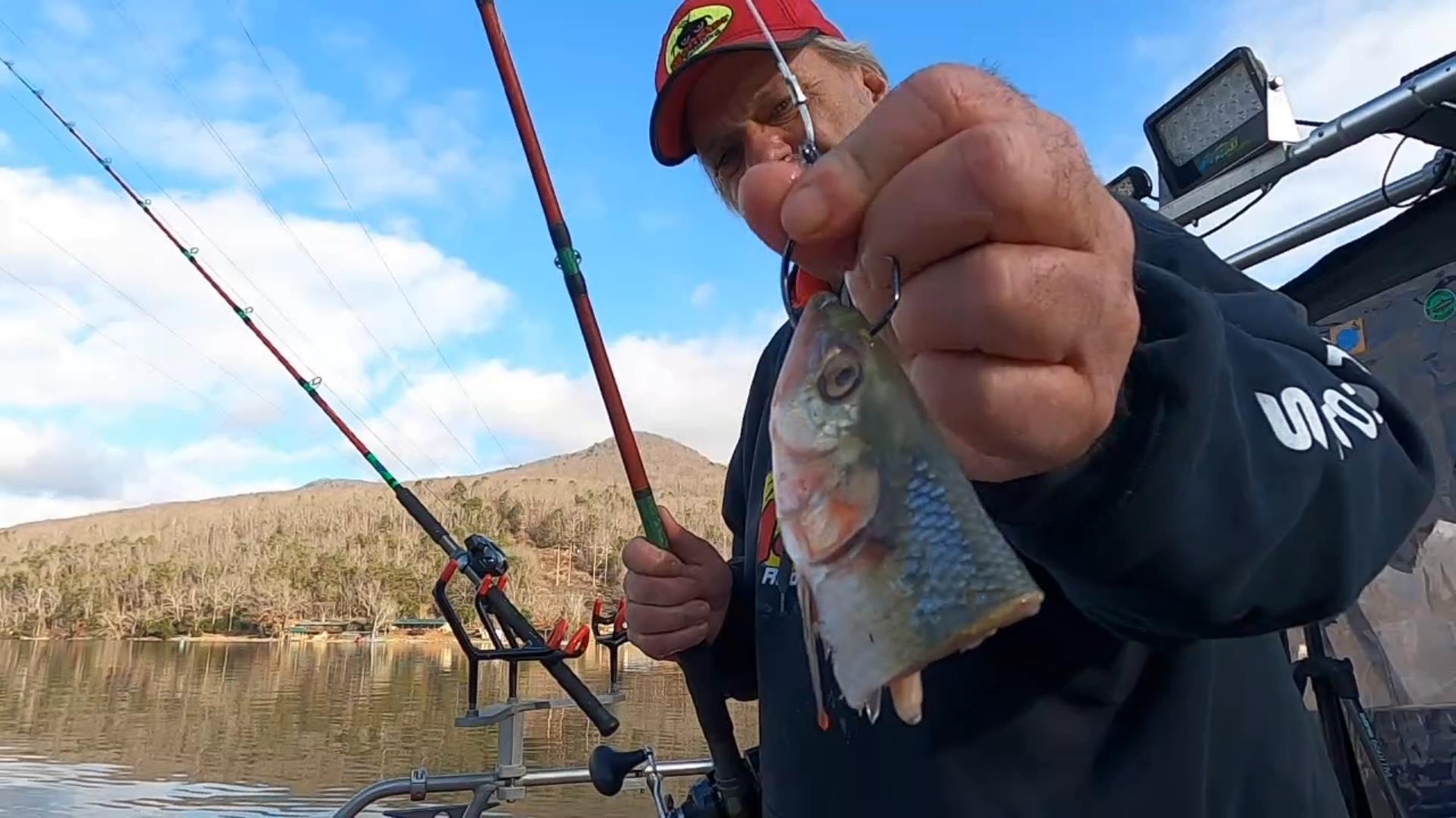 What’s the Best Way to Catch Trophy Catfish This Winter?